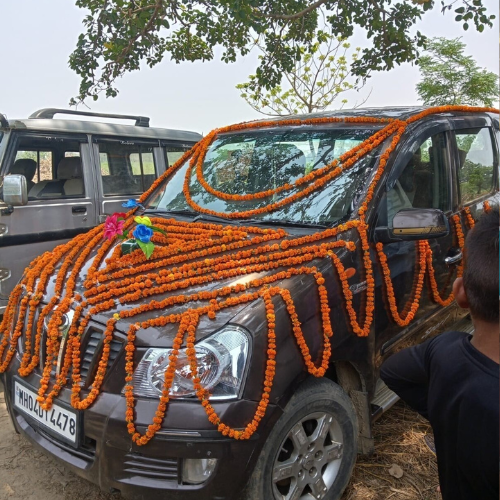 Shahzad Travels