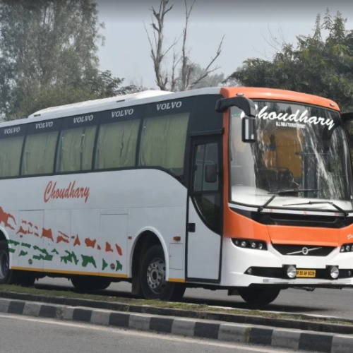 Pankaj tour and travels 