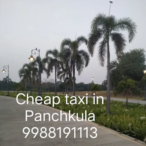 22 ji cabs